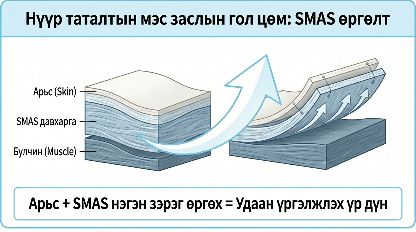 Нүүр өргөх мэс заслын төгс гарын авлага: Гоо сайхны мэс заслын мэргэжилтэн эмчээс мэдэх ёстой бүх зүйл