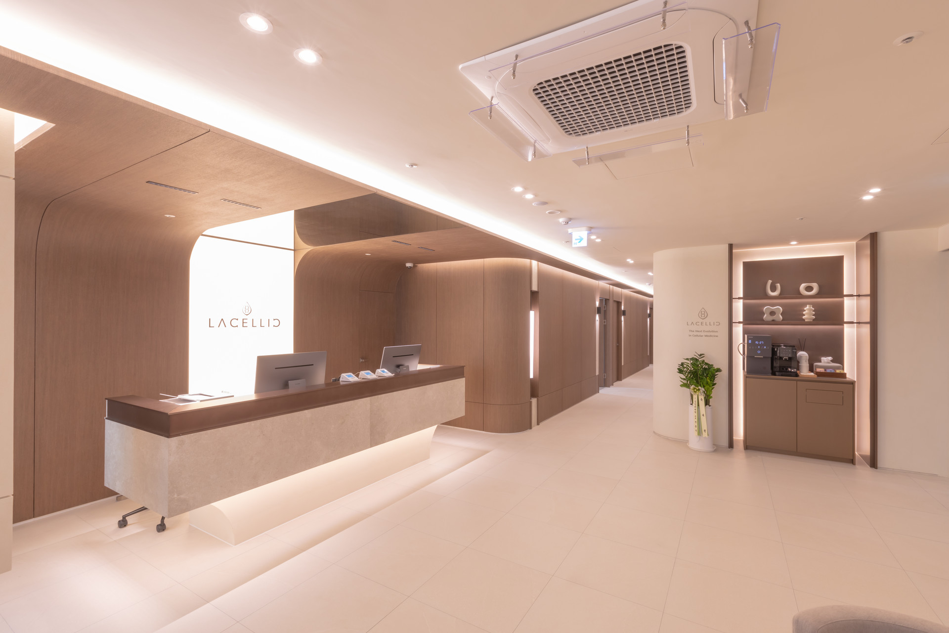 LACELLIC - зураг 5