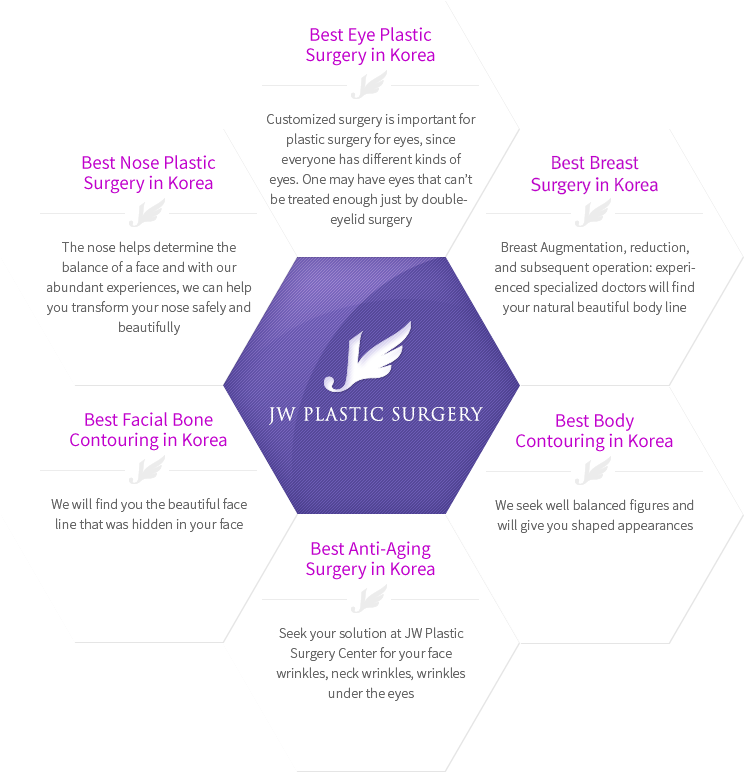 JW Гоо сайхны мэс засал - зураг 2