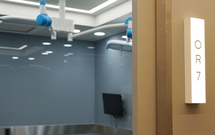 Нана Гоо сайхны мэс засал - зураг 1