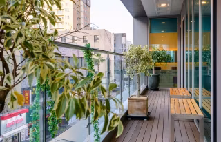 VIP Гоо сайхны мэс засал - зураг 2