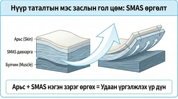 Нүүр өргөх мэс заслын төгс гарын авлага: Гоо сайхны мэс заслын мэргэжилтэн эмчээс мэдэх ёстой бүх зүйл