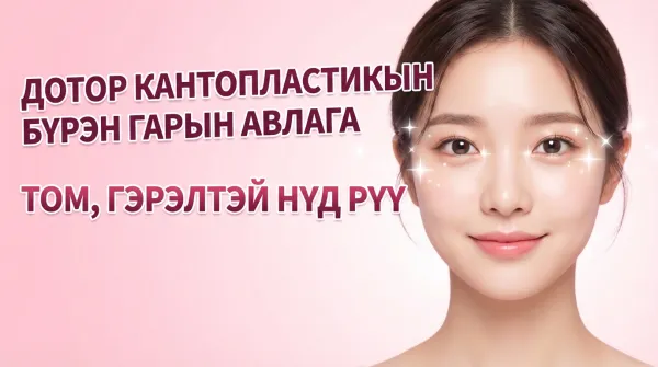 Зовхины дотор талын мэс заслын бүрэн гарын авлага: Монгол нугалааг арилгах, мэс заслын арга, сорвины арчилгааны талаар бүрэн тайлбар