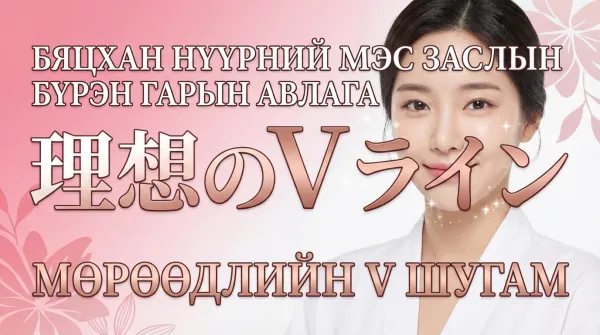 Жижиг нүүрний эмчилгээний иж бүрэн гарын ав