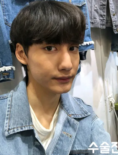 [Хамрын] Хамрын тухай