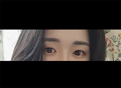 [Нүд] ㅡㅜㅠㅍㅊㅌㅋ - Давхар зовхи, Зүслэг