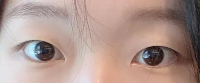 [Нүд] Тоор - Нүд