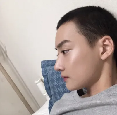 [Хамрын] Хамрын тухай