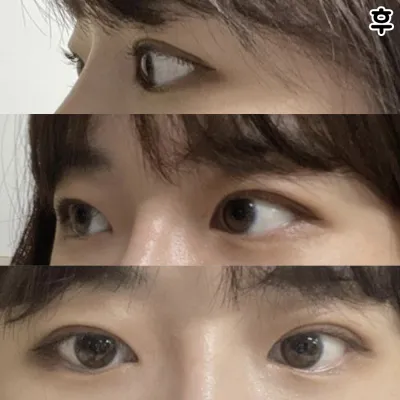 Би шуналаа барьж, захирлаар хийлгэхээр шийдсэн дээ ккк