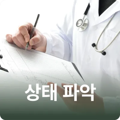 Soldam Уламжлалт анагаахын эмнэлэг