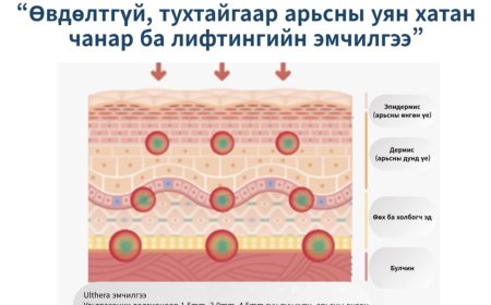 Арьс ба Хуванцар мэс заслын клиник