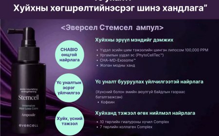 🌱 Evercell Stemcell Hair Ampoule 🥰