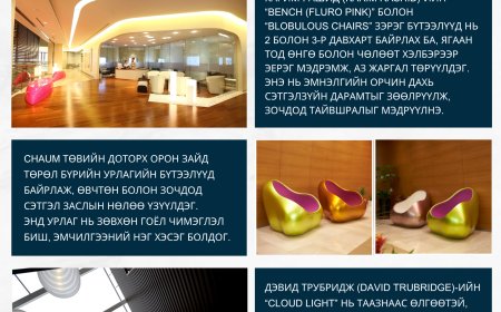 CHAUM Эмнэлгийн Танилцуулга