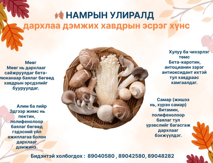 🍂 Намрын улирал – Дархлаа дэмжих, хавдраас сэргийлэх супер хүнсүүд!