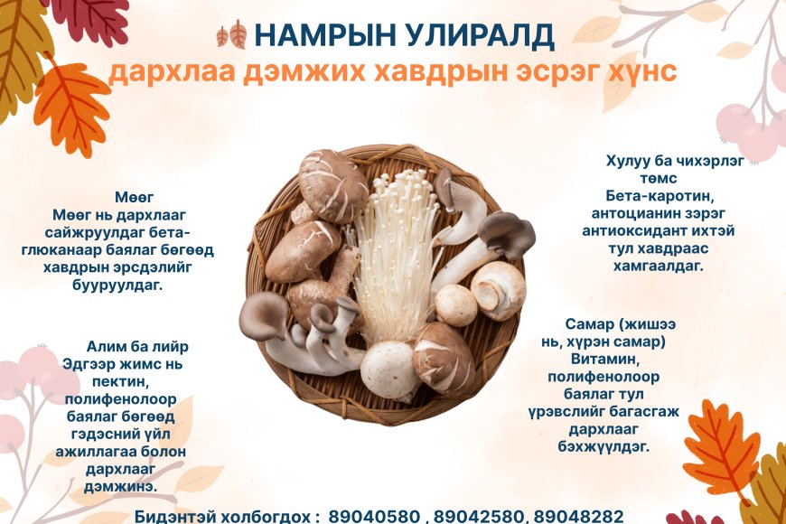 🍂 Намрын улирал – Дархлаа дэмжих, хавдраас сэргийлэх супер хүнсүүд!