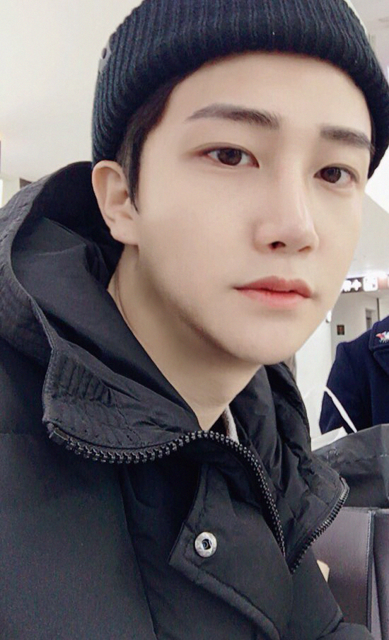 Хамрын нуруу, үзүүр, бөхтэй хамар, хагалгаа, эрүү, эрүүний нарийсалт