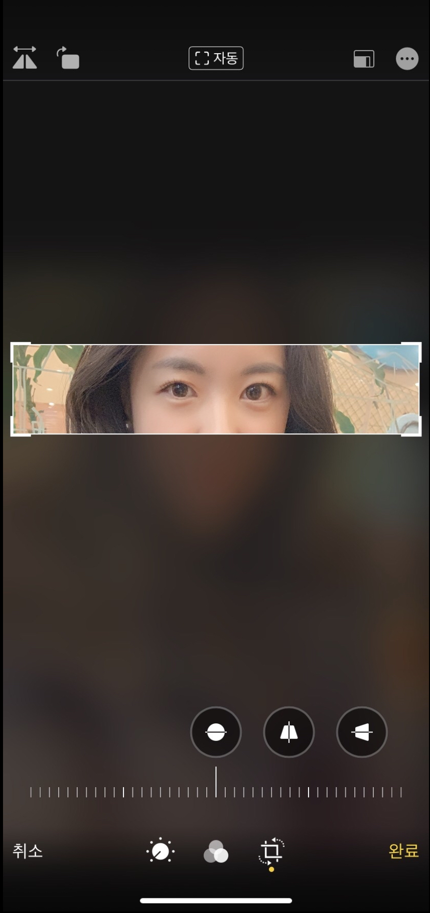 [Нүд] Ханбан Содон - Зүсэлт