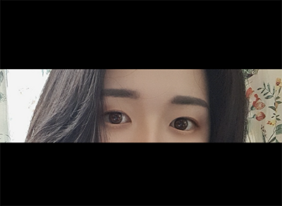 [Нүд] ㅡㅜㅠㅍㅊㅌㅋ - Давхар зовхи, Зүслэг