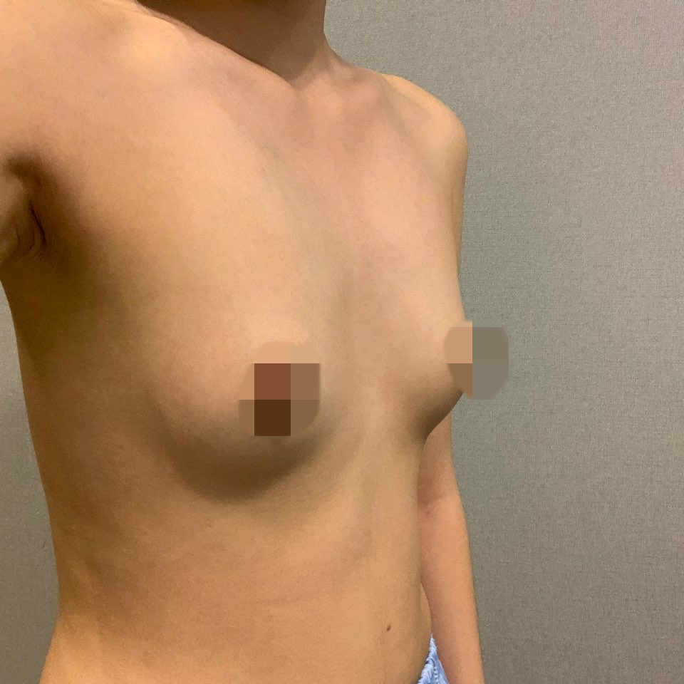 [Цээж] Ян Ян Ян - Цээж