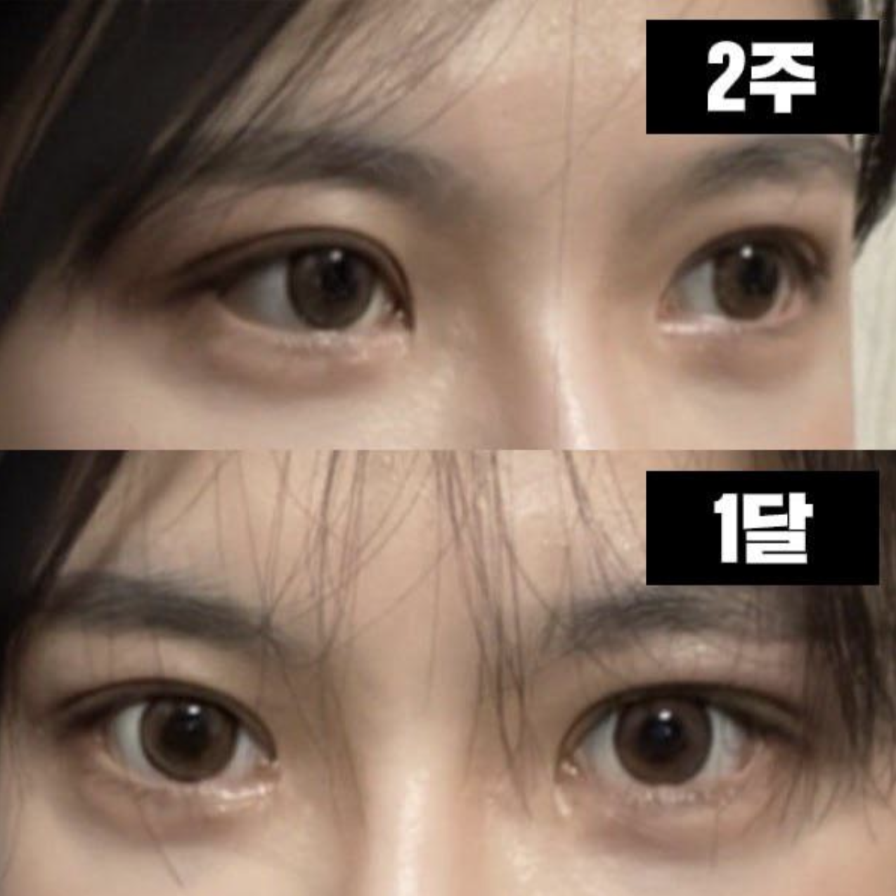 Оёдлоо авахуулснаас хойш цаг хугацаа хурдан өнгөрсөн мэт санагдаж байна!