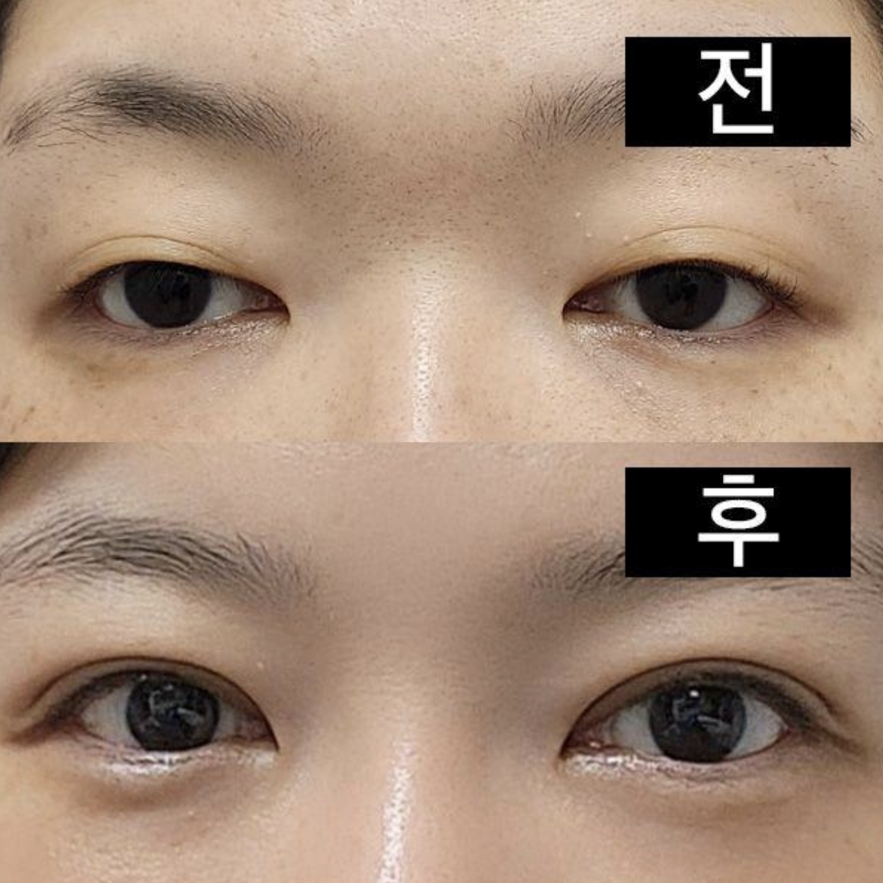 Шугам нь гайхалтай болсон.