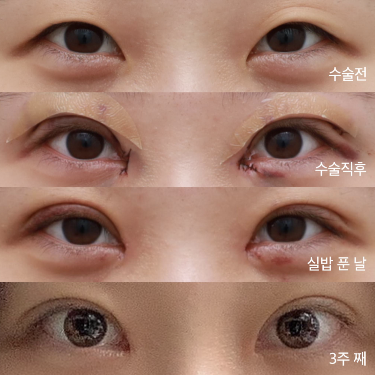 ! 2 дахь тойм ! Жинхэнэ сэтгэгдэл байна.