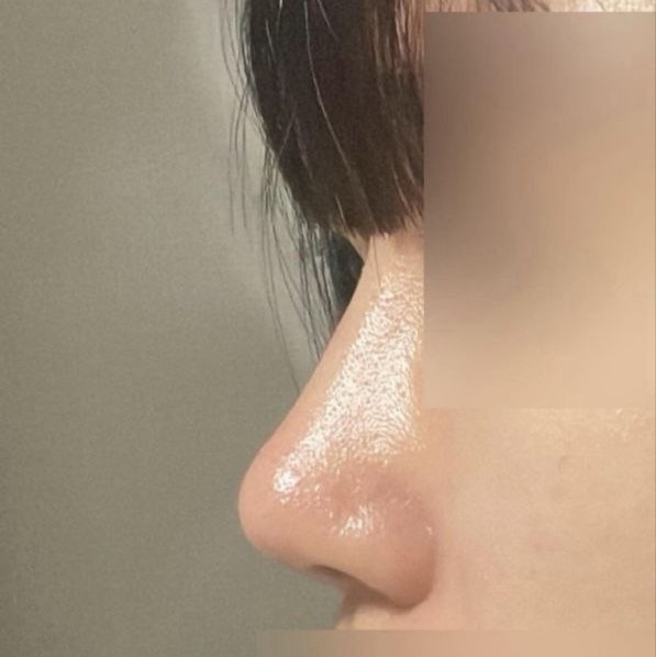 Үнэнийг хэлэхгүй бол миний хамар гэж бодох байх даа, хаха