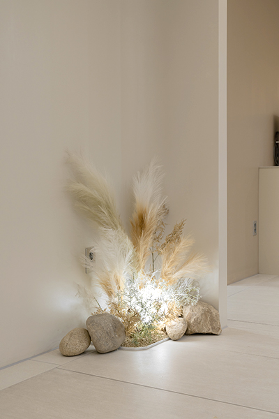 オールリティング美容外科 - Зураг 4