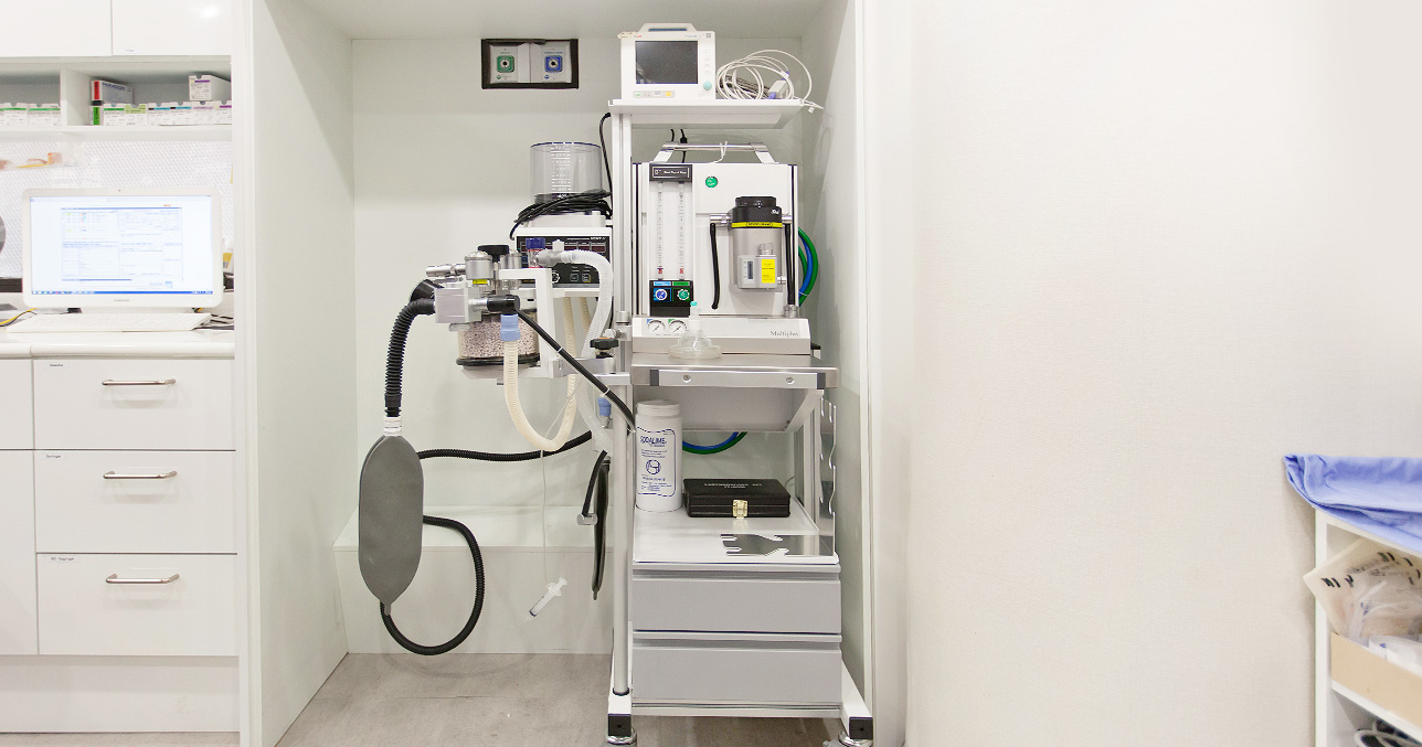 Эйпекс гоо сайхны мэс заслын клиник - зураг 15